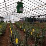 �Ovviamente adottiamo le tecniche necessarie a non superare la soglia del Thc - continua Francesco -, anche perch� siamo sottoposti a controlli�